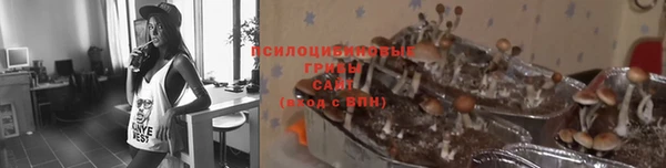 крисы Алексин