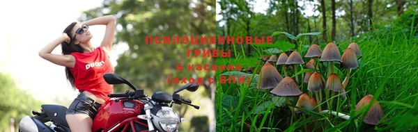 ГАЛЛЮЦИНОГЕННЫЕ ГРИБЫ Алексеевка