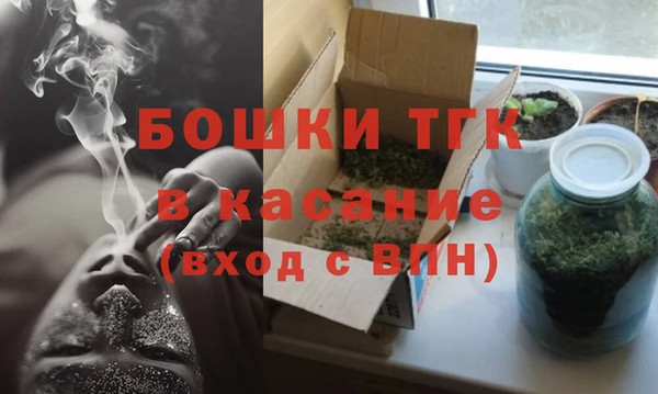 крисы Алексин