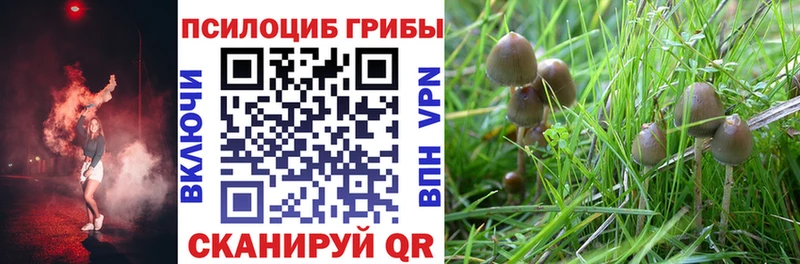 купить наркотики цена Белоозёрский Галлюциногенные грибы Cubensis